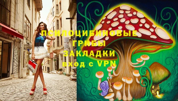 бошки Алексин