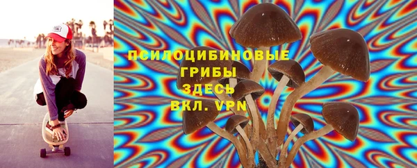 бошки Алексин