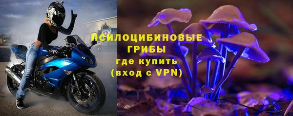 бошки Алексин