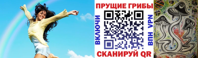 Галлюциногенные грибы Psilocybe  наркота  Невьянск 